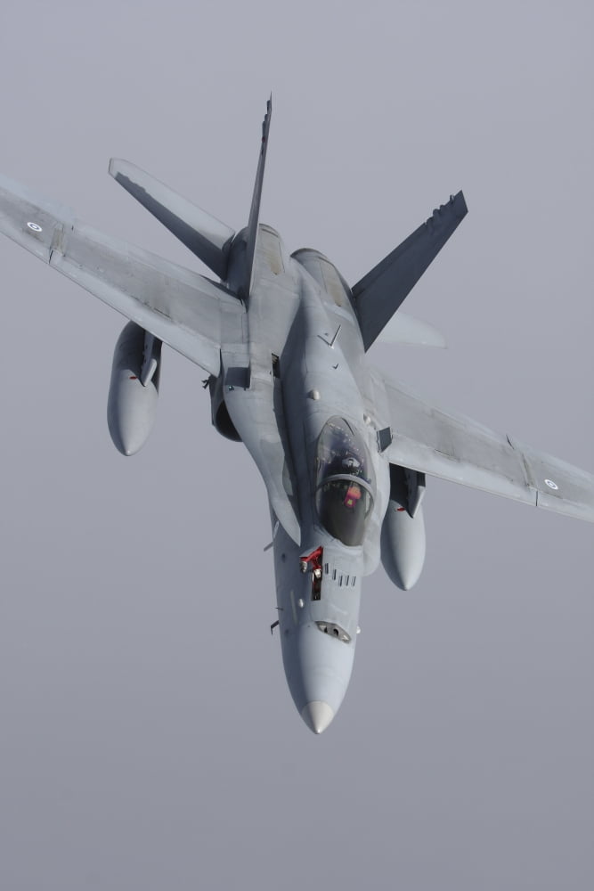 FA-18 Hornet of the Finnish Air Force Canvas Art - Daniel KarlssonStocktrek Images (12 x 18)