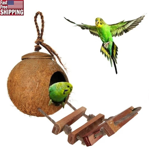 FABLE- Natural Coconut Shell Nest & Hanging Bird House With Ladder Eco-Friendly Durable