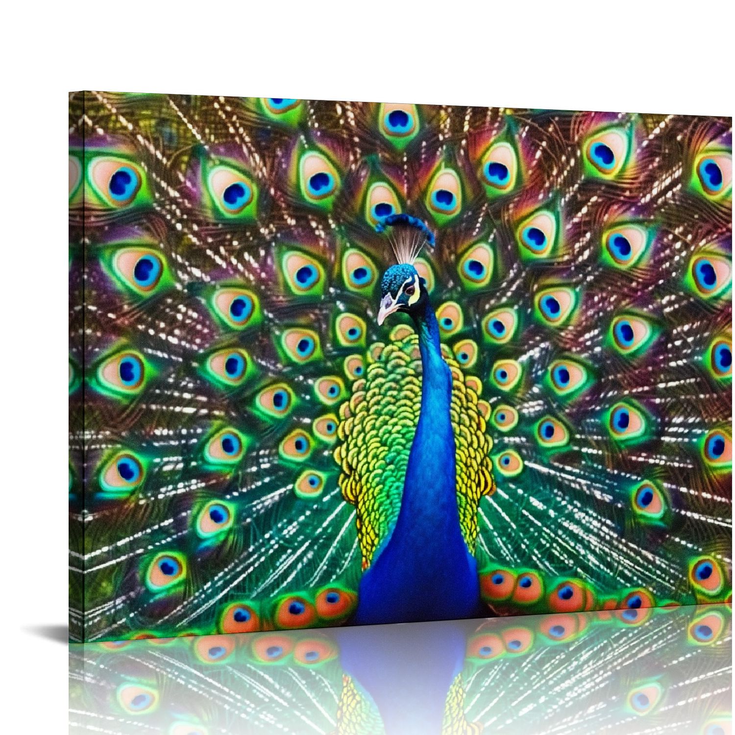 FACANNAP Peacock Feathers Spread Plumage Colorful Peacock Photo Peacock