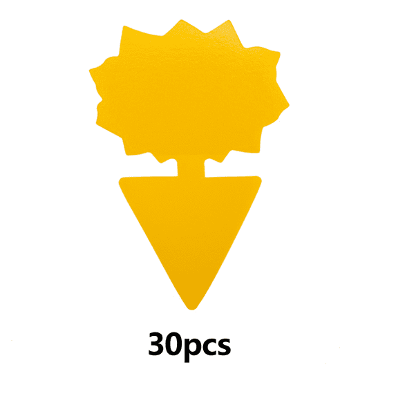 Stunning Getting Rid Of Gnats In Living Room image