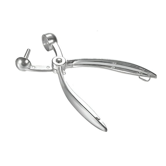 FACEGA Cherry Pitter Stainless Cherry Remover Chopping Tool To Cherries Stone Cherry Pitter Tool Stainless Steel Fruit Remover White
