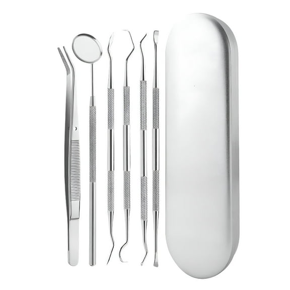 FACEGA Dental Tools Stainless Steel Teeth Cleaning Hygiene Mirror Oral Health Kit Tooth Cleaning Inspection Tartar Cleaner,Silver 6 Pieces Set