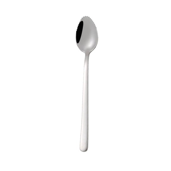 FACEGA Serrated Edge Spoon,Rust-Resistant Dessert Spoon,Versatile Kitchen Tool Stainless Steel Spoon for Dessert, Fruit, Salad, Daily Dining