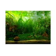 Aquarium Background Fish Tank Decorations Pictures PVC Adhesive Poster Water Grass Style Backdrop Decoration Paper Cling Decals Sticker