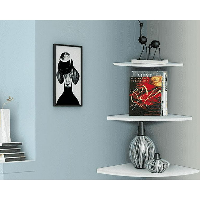 Artist Storage Units  Wall Shelves For Picture Frames