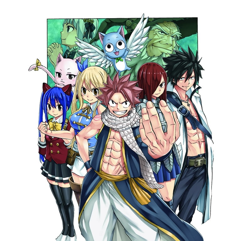 FAIRY TAIL: 100 Years Quest: FAIRY TAIL: 100 Years Quest (Series