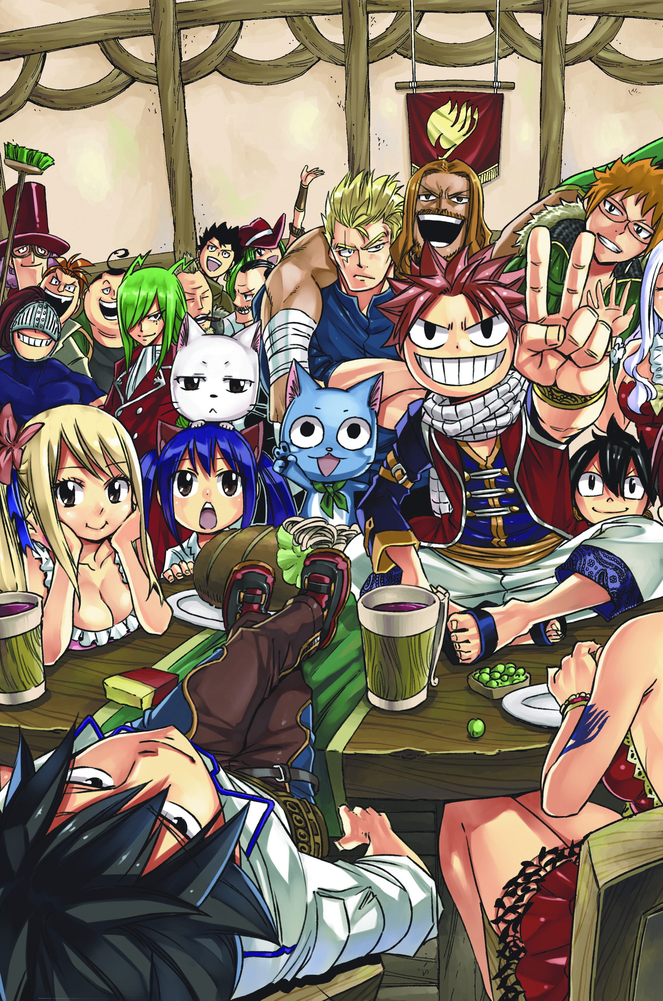 FAIRY TAIL Manga Box Set 2, Book 2 (Paperback) - Walmart.com