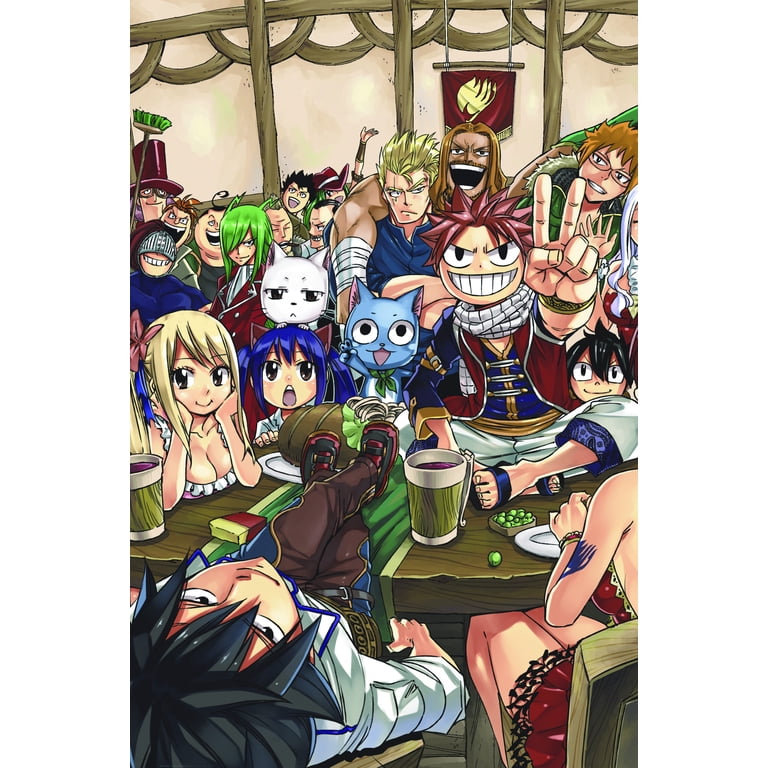FAIRY TAIL Manga Box Set 2, Book 2 (Paperback) - Walmart.com