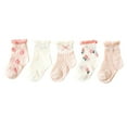 thumbnail image 1 of FAIWAD 5Pairs Cute Crew Socks for Teen Girls Embroidered Non Slip Ankle Socks Toddler Crew Cotton Breathable Socks, 1 of 9