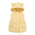 thumbnail image 1 of FAIWAD Kids Boys Girls Fall Winter Warm Lightweight Hooded Sleeveless Padded Vest Cute Jacket with Pockets, 1 of 7