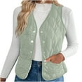 thumbnail image 1 of FAIWAD Puffer Vest Women Fleece Lined Button Down Lightweight Waistcoat Sleeveless Warm Quilted Vest for Women, 1 of 9
