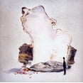 thumbnail image 1 of FALL BACK OPEN, 1 of 1