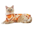 thumbnail image 1 of Vibrant Life Halloween Pajamas for Dogs and Cats, Pumpkins and Leaves, Orange, S, 1 of 8