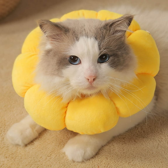 FAMTKT Adjustable Cat Cone Collar Soft, Cat Recovery Collar, Pet Anti-Licking and Biting Collar Flower Ring Pet Dog Neck Ring Anti-Scratching Head Cover