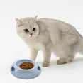 thumbnail image 1 of FAMTKT Dog Bowls Love Puppy Bowl Cats Bowl Food Bowl Avoid-Knockover Pet Bowl Dog Cats Drinking Water Bowl Dog Feeding & Watering Supplies, 1 of 6
