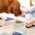 thumbnail image 1 of FAMTKT Dog Bowls Thickened Plastic Pet Bowl for Cats and Dogs Food and Water Bowl Non Slip and Non Spill Suitable for Singles Pet, 1 of 6