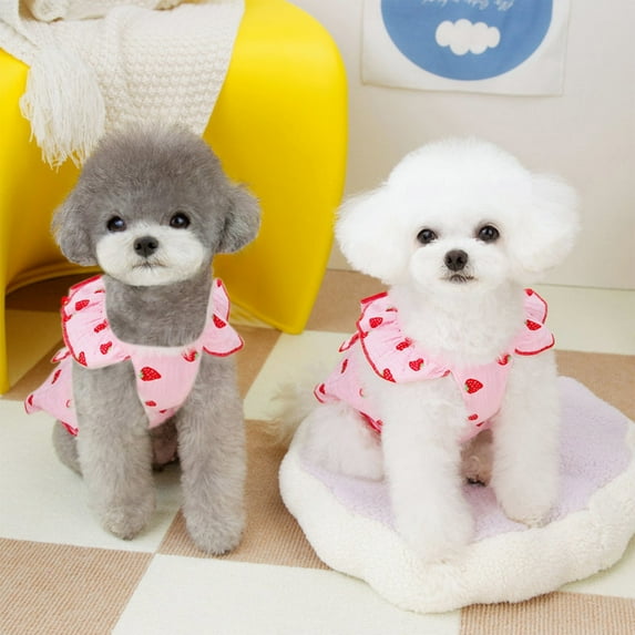 FAMTKT Dog Clothes for Small Dogs, Puppy Dress for Girl Dogs, Small Floral Princess Dress Pet Cute Dress Summer Thin Ultrasmall Clothes Strawberry Print Pet Skirt Clothes Sundress Costume Clothes