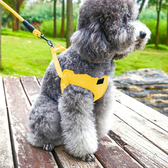 FAMTKT Dog Harnesses and Leash Set Pet Lead with Sandwich Mesh Chest and Back Harnesses Vests for Small and Medium Sized Dogs Pet Supplies