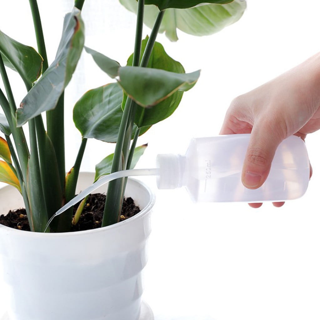 Succulent Watering Bottle