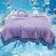 thumbnail image 1 of FAMTKT Summer Quilt Lightweight Summer Spring Comforter, Soft Air Conditioning Quilt Cool Feeling Ice Silk Summer Quilt Thin Ice Cream Quilt, 1 of 8