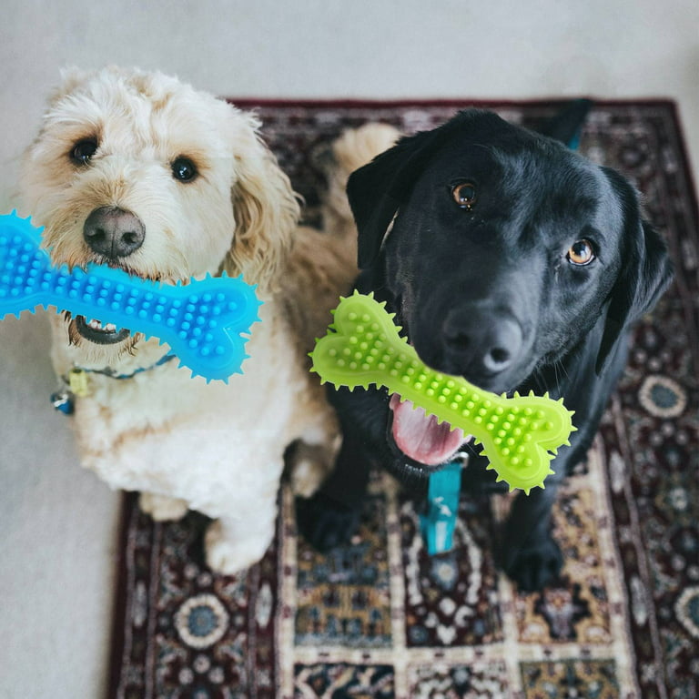 https://i5.walmartimages.com/seo/FANGFANG-Dog-Toys-Aggressive-Chewers-Large-Breed-Chew-Indestructible-Tough-Bones-Made-Rubber-Durable-Medium-Puppy-Teething_fa4d2d9e-f1c3-46c8-9ab0-ca563c63ee7c.657d67151657acfbc44fde981db40ba7.jpeg?odnHeight=768&odnWidth=768&odnBg=FFFFFF