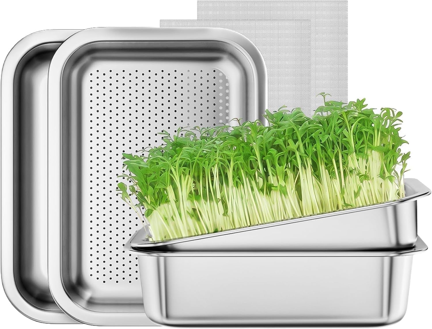 FANHAO 2-Pack Stainless Steel Plant Germination Trays, Indoors Plant Seedlings, Drainage Holes