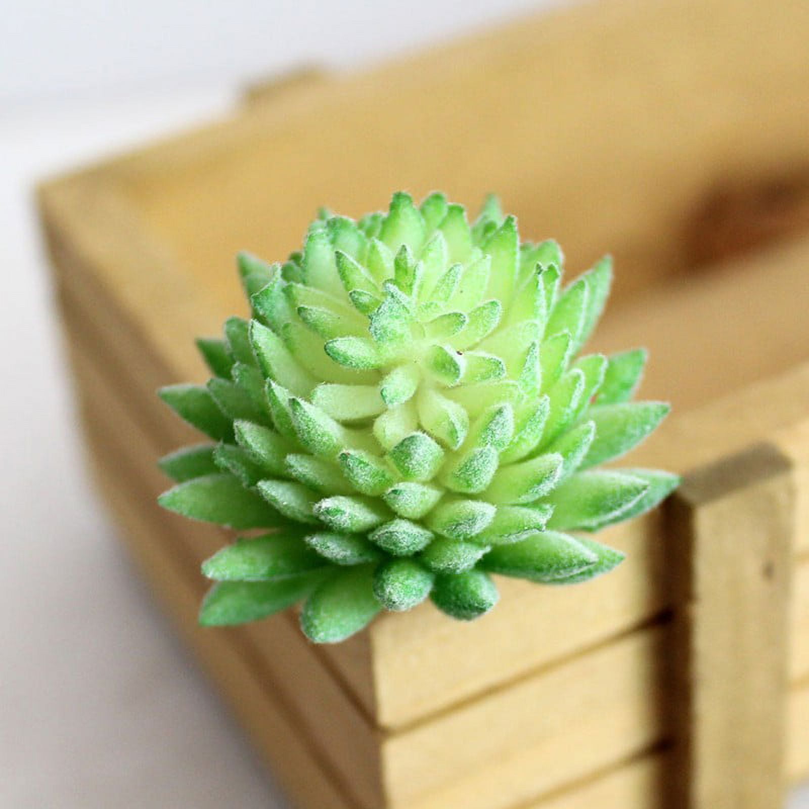 FANJIE Artifical Plastic Succulent Plant Cactus Echeveria Flower Home  Office Decor Gift Green 