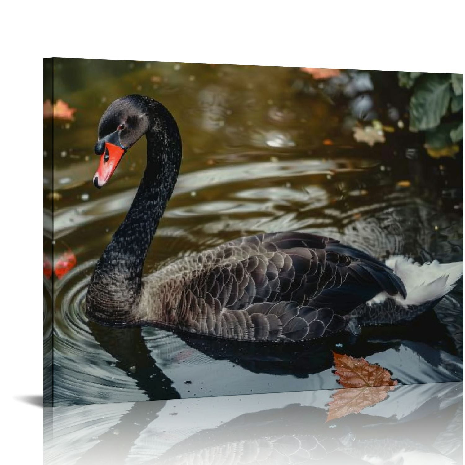 FANNA Generic Bird Black Swan Canvas Paintings Wall Art Modern Pictures