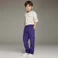 thumbnail image 1 of FAOWME Big Boys Sweatpants With Pocket Drawstring Elastic Waist Solid Color Wide Leg Comfortable Casual Trousers For Outdoor Activities Purple 140, 1 of 8