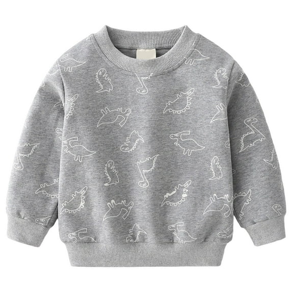 FAOWME Big Girls Boys Pullover Long Sleeve Round Neck Dinosaur Graphic Print Breathable Comfortable Sweatshirt For Casual Daily Wear Grey 9-10 Years