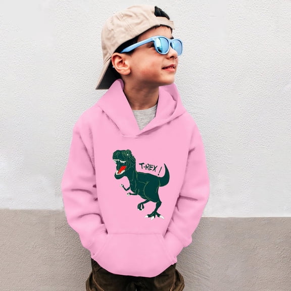 FAOWME Big Kids Boys Hoodies With Pocket Long Sleeved Dinosaurs Print Fashion Comfortable Loose Fit Sweatshirts For Daily Wear Pink 3-4 Years