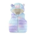 thumbnail image 1 of FAOWME Girls Toddler Lightweight Waterproof Packable Vest Purple 12-18 Months, 1 of 2
