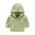 thumbnail image 1 of FAOWME Kids Toddler Baby Boys Fall Dinosaur Hooded Coat Jacket Sweatshirt Clothes Green 4-5 Years, 1 of 3