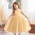 thumbnail image 1 of FAOWME Toddler Kids Girls Dress Sleeveless Round Neck Solid Color Comfortable Fashion Mesh Tutu Dresses For Wedding And Stage Performance,Khaki,6-7 Years, 1 of 5