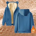thumbnail image 1 of FAOWME Womens Hoodies With Pocket Long Sleeve Solid Color Zipper Plush Thickened Comfortable Fashion Sweatshirts For Autumn Winter Daily Wear Blue L, 1 of 7