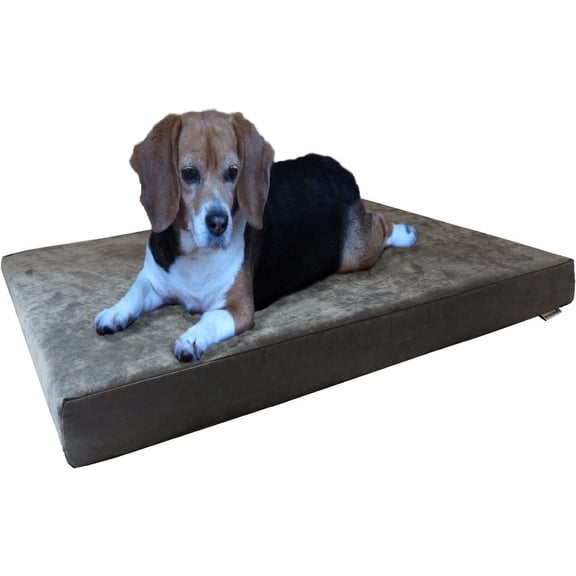FASHENG Orthopedic Gel Memory Foam Dog Bed, Washable Suede Gray Cover, Waterproof Liner, Medium Large, 37x27x4 Inch