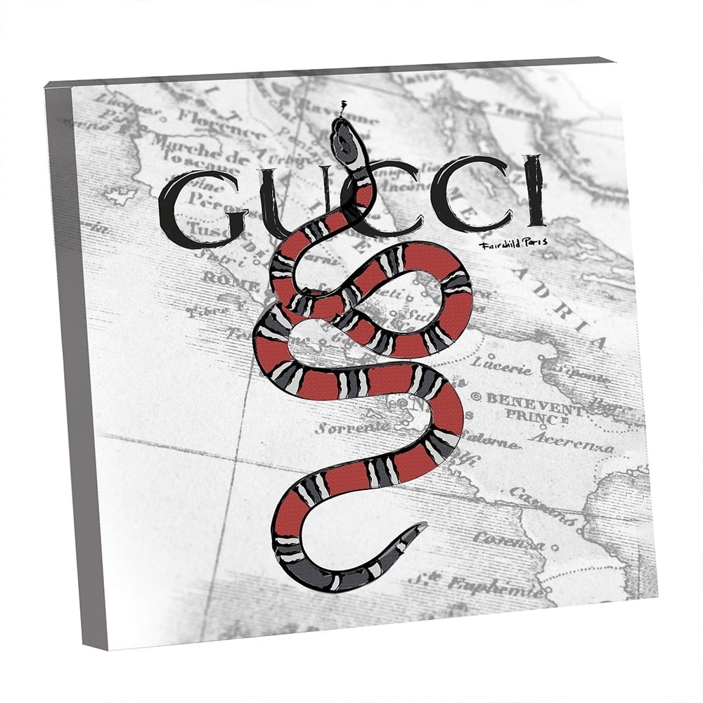 FASHION SNAKE - 14"x14" Canvas Artwork - Multi-Color 14 x 14