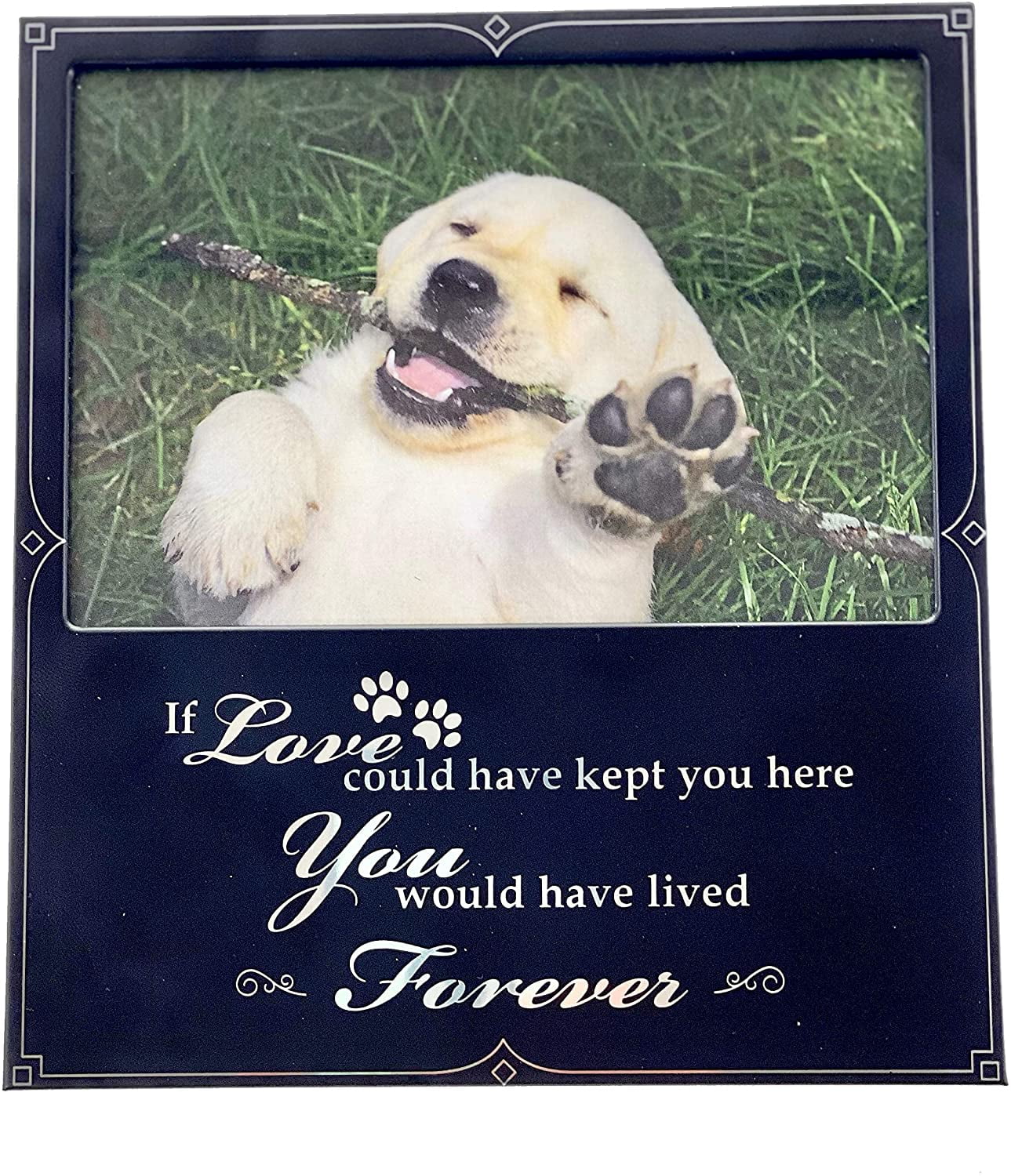 FASHIONCRAFT Pet Memorial Picture Frame Engraved Metal Remembrance