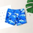 thumbnail image 1 of FASHOFT Boys Swim Trunk Hawaiian Style Swim Shorts Little Boys Bathing Suit Swimsuit Kids Swimwear A, 1 of 5