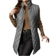 thumbnail image 1 of FAVIPT Quilted Puffer Vest for Women Long Lightweight Warm Jacket Zip Up Stand Collar Coats Sleeveless Pockets Trendy 2025 Outerwear Gray,M, 1 of 8