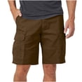 thumbnail image 1 of FAWUUDO Casual Shorts for Men Breathable Loose High Stretch Straight Leg Shorts with Multi Pockets L B-Coffee, 1 of 7