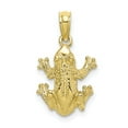 thumbnail image 1 of FB Jewels 10K Yellow Gold Frog Top View 2D and Textured Pendant, 1 of 4