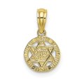 thumbnail image 1 of FB Jewels 10K Yellow Gold Star Of David In Circle Engraved Jewish Pendant, 1 of 4