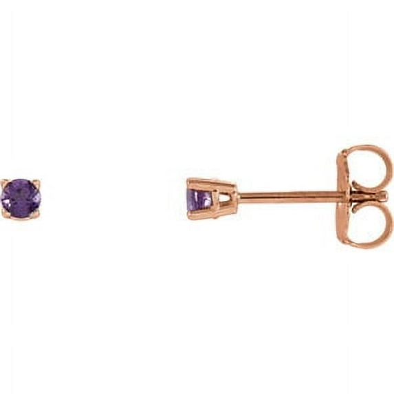 FB Jewels Set 14K Rose Gold Genuine Amethyst 2.5 mm Friction Pair Polished Amethyst Earrings With Backs