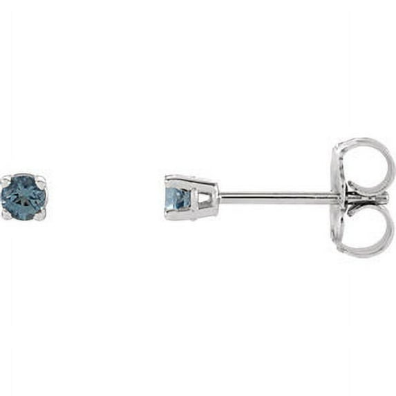 FB Jewels Set 14k White Gold Genuine Aquamarine 2.5 mm Friction Pair Polished Aquamarine Earrings With Backs