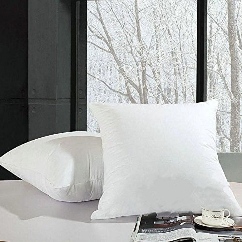 https://i5.walmartimages.com/seo/FBTS-Prime-Throw-Pillow-Insert-18x18-Inch-2-Pack-Hypoallergenic-Foam-Stuffer-Standard-Decorative-Square-Couch-Inserts-Sofa-Bed-Indoor-Outdoor_2fcdae25-bab6-469a-b69a-47a5e7d857e6.ef15daa0004312a8dbb3cf06c8293b7e.jpeg