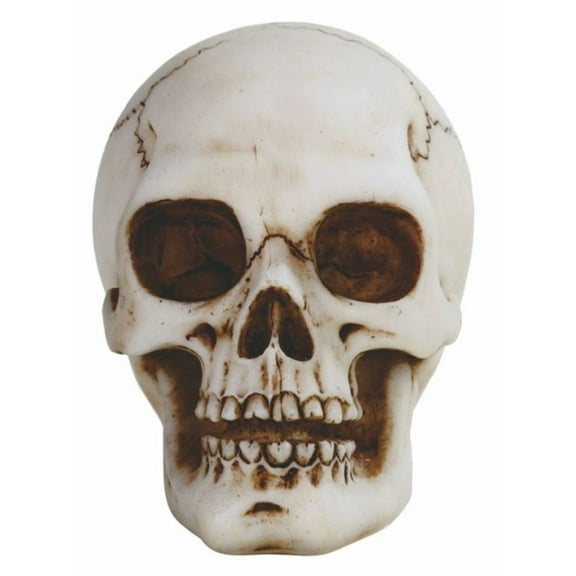 FC Design 3.25"W Skull Head Statue Fantasy Decoration Figurine