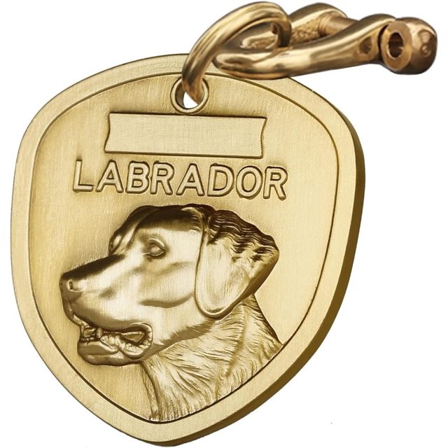 FCUnique Personalized 3D Embossed Vintage Solid Brass Pet Tags