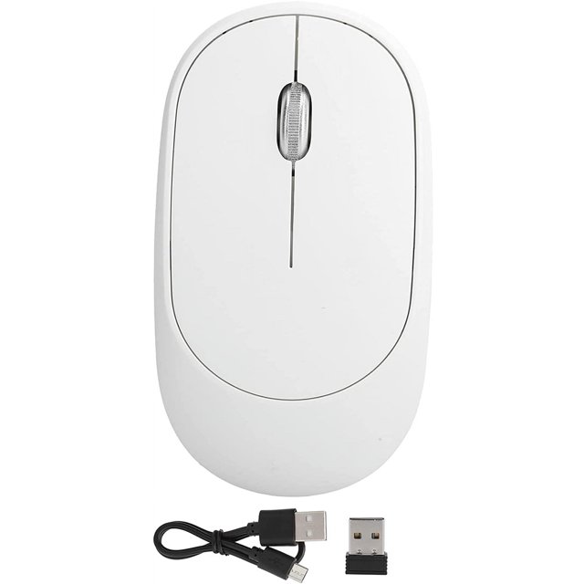 FCWireless Mouse for Laptop, Computer Mouse DPI Adjustable Chargable