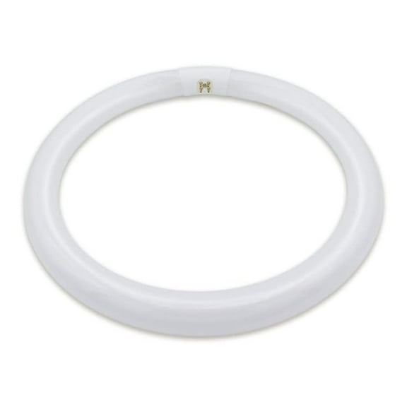 FC16T9 40W Circline Fluorescent Bulb - 16 Inch T9 Bulb with 4-Pin Base (G10Q-4) - 6500K Daylight - 1 Pack